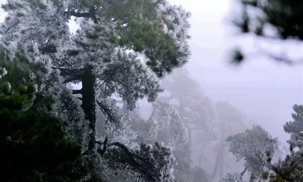 最适合你的爱情计策