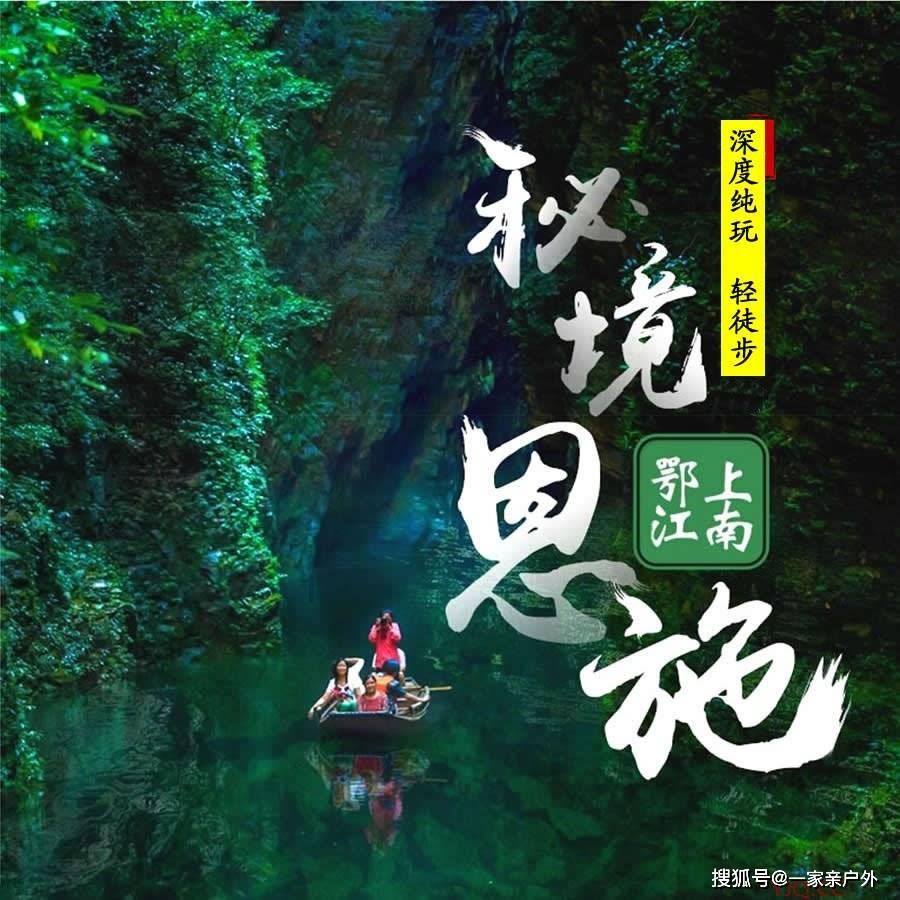 济南“胡一刀”胡承春救助上百只鸟类