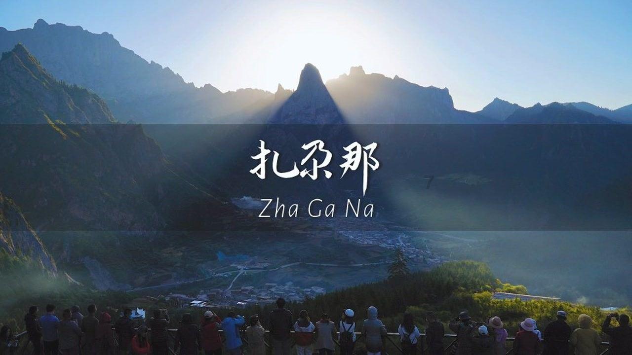 豆娃勇士